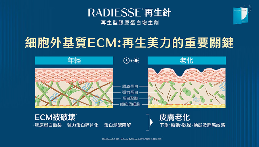 細胞外基質 再生美力